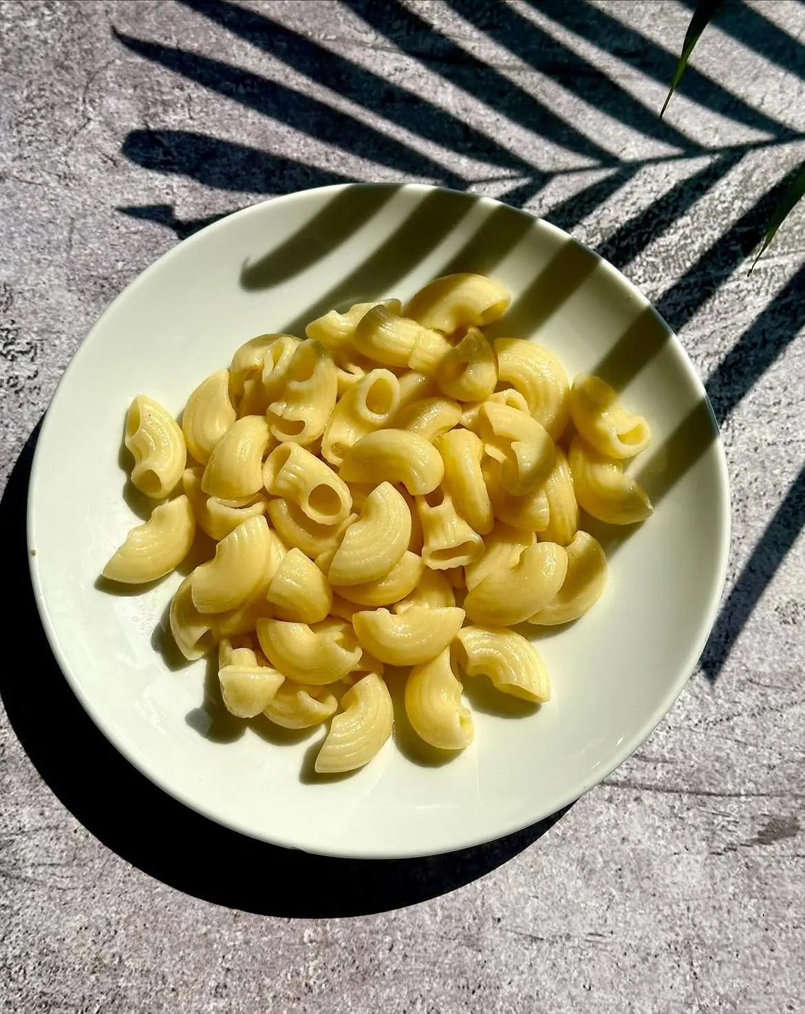 Kids menu macaroni in the sunshine